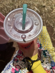 Atalantycha bilineata