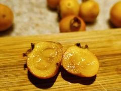 Psidium laruotteanum