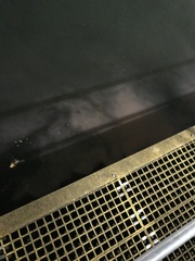 Noctiluca scintillans