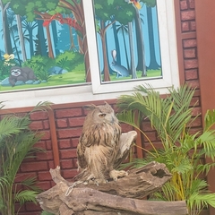 Bubo