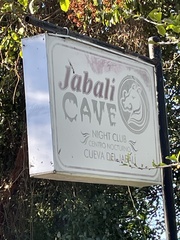 Macrotus waterhousii