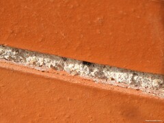 Pellenes
