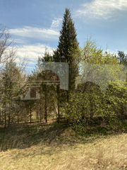 Juniperus virginiana virginiana