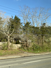 Juniperus virginiana virginiana