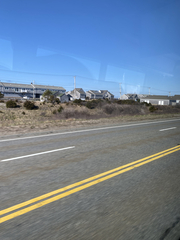 Juniperus virginiana virginiana