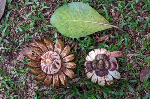 Foto de Abaneiro