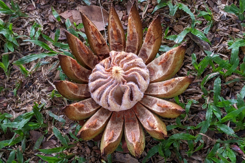 Foto de Abaneiro