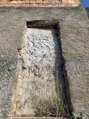 Tropidurus semitaeniatus