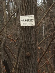 Agrobacterium radiobacter