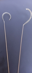 Cynodonteae
