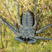 Tendarapos - Photo (c) Ashley M Bradford, algunos derechos reservados (CC BY-NC), subido por Ashley M Bradford