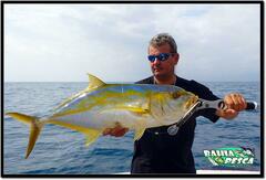 Caranx bartholomaei