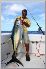Thunnus albacares