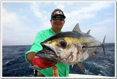 Thunnus atlanticus