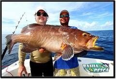 Mycteroperca interstitialis