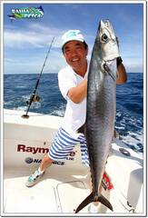 Scomberomorus cavalla