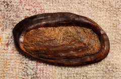 Buccinidae