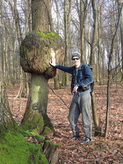 Agrobacterium radiobacter