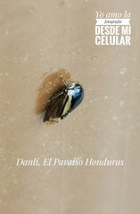 Membracidae