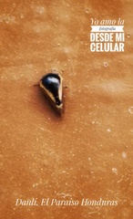 Membracidae