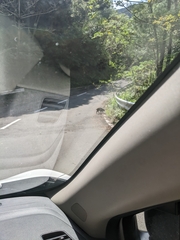 Sus scrofa riukiuanus