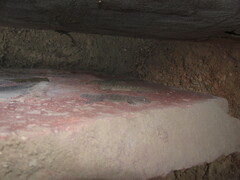 Hemidactylus kushmorensis