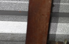 Pyraustinae