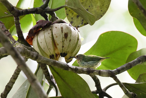 Foto de Abaneiro