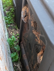 Coptotermes formosanus