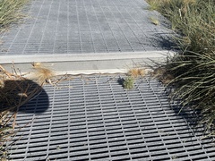 Pseudonaja affinis exilis