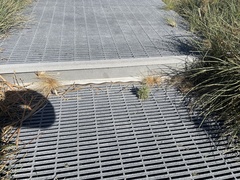 Pseudonaja affinis exilis