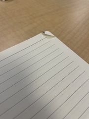 Brachymyrmex obscurior