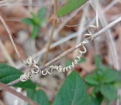 Passiflora lutea