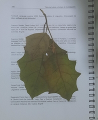 Solanum stramoniifolium