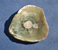 Pododesmus macrochisma