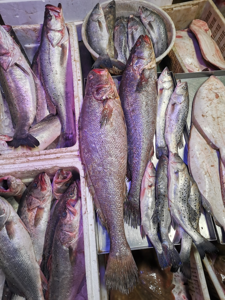 Miichthys