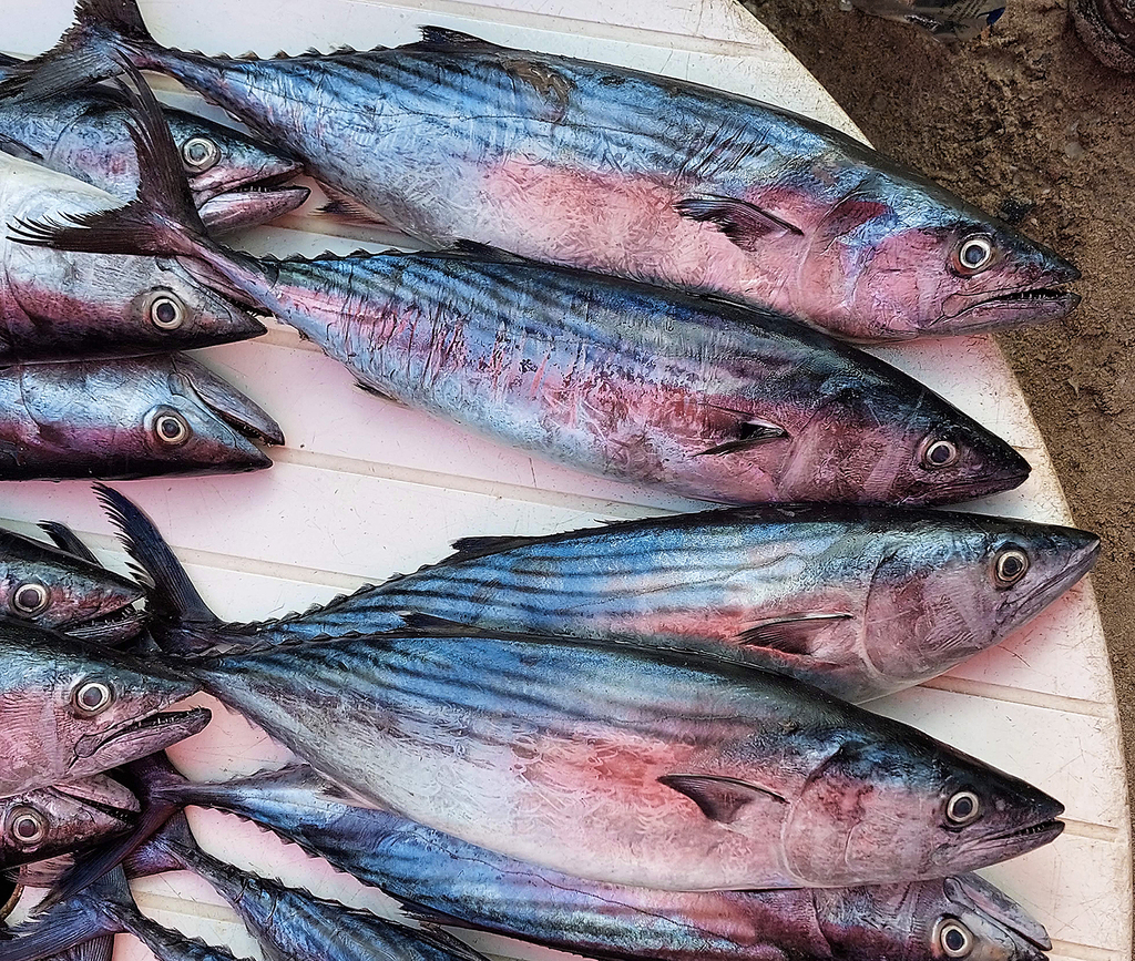 Bonitos