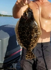 Paralichthys lethostigma