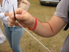 Agave salmiana salmiana