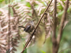 Scrubtit photo 3