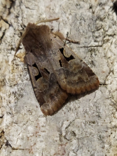 Hebrew Character photo 3