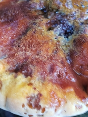 Inonotus quercustris