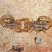 Common Lesser-Thicktail Scorpion - Photo (c) Paul Bester, some rights reserved (CC BY-NC), uploaded by Paul Bester