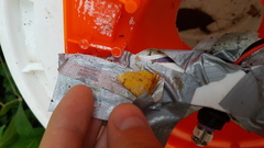 Erastria decrepitaria