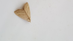 Azeta