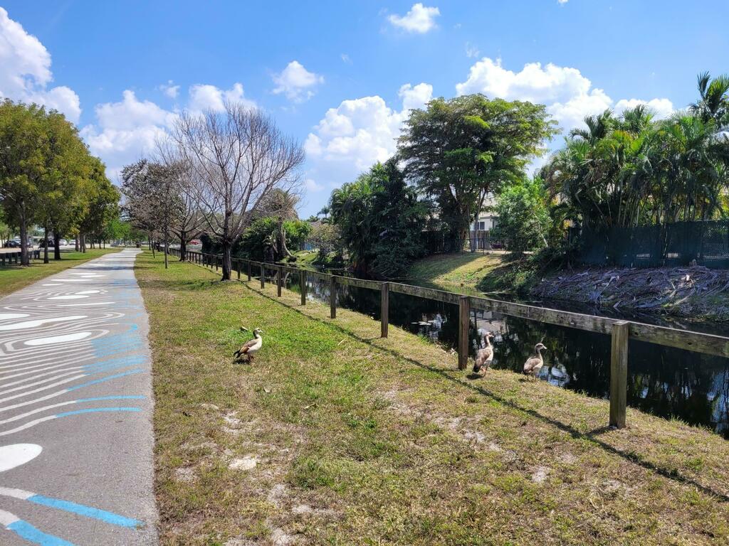 Egyptian goose from nw 87 ave nw 170th st hialeah gardens fl 33018