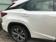 Calletaera subexpressa