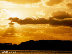 Sibirionetta formosa