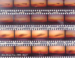 Sibirionetta formosa