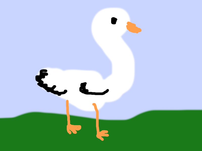 Snow Goose